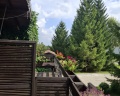 Ель: отзыв от Мария Карасева