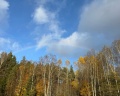Уютные Ёлы: отзыв от Олеся Олеся
