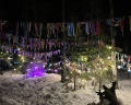 Forest lake: отзыв от Анастасия Толстова
