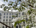 Ramada Hotel & Suites by Windhham Novosibirsk: отзыв от Татьяна Новикова