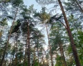 Алтай Сиеста: отзыв от Мария литуева