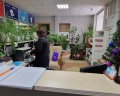 Люкс-сон: отзыв от Николай Бараненко