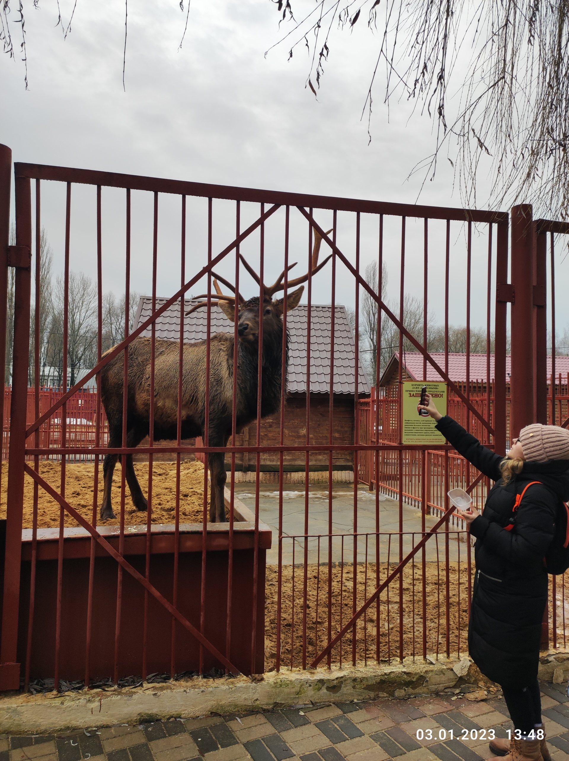 Липецкий зоопарк, Карла Маркса, вл9, Липецк — 2ГИС