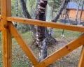 Шале Хвоя: отзыв от Ксю С.