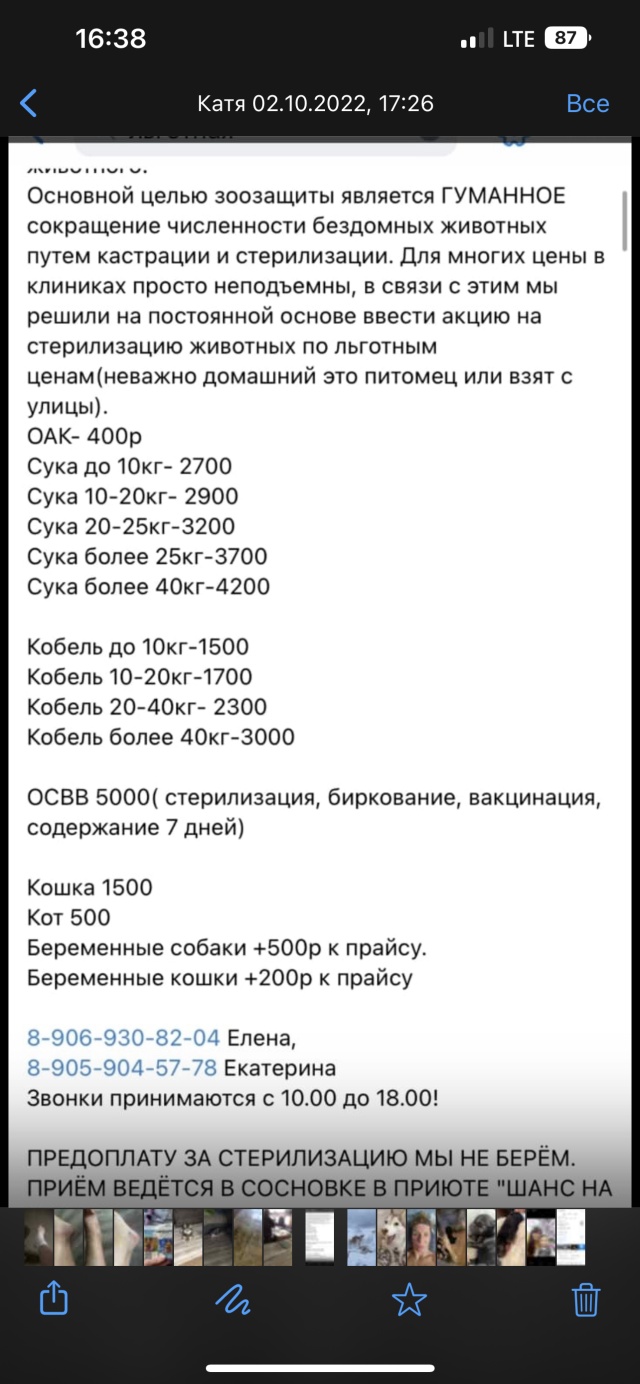 Отзывы о Шанс на жизнь, приют для животных, с. Сосновка, с. Сосновка - 2ГИС