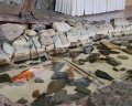Снежный: отзыв от Александра Вилюнова