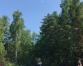Ингала: отзыв от Лариса Притчина