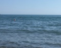Lavicon apart Sochi: отзыв от Not Nyash