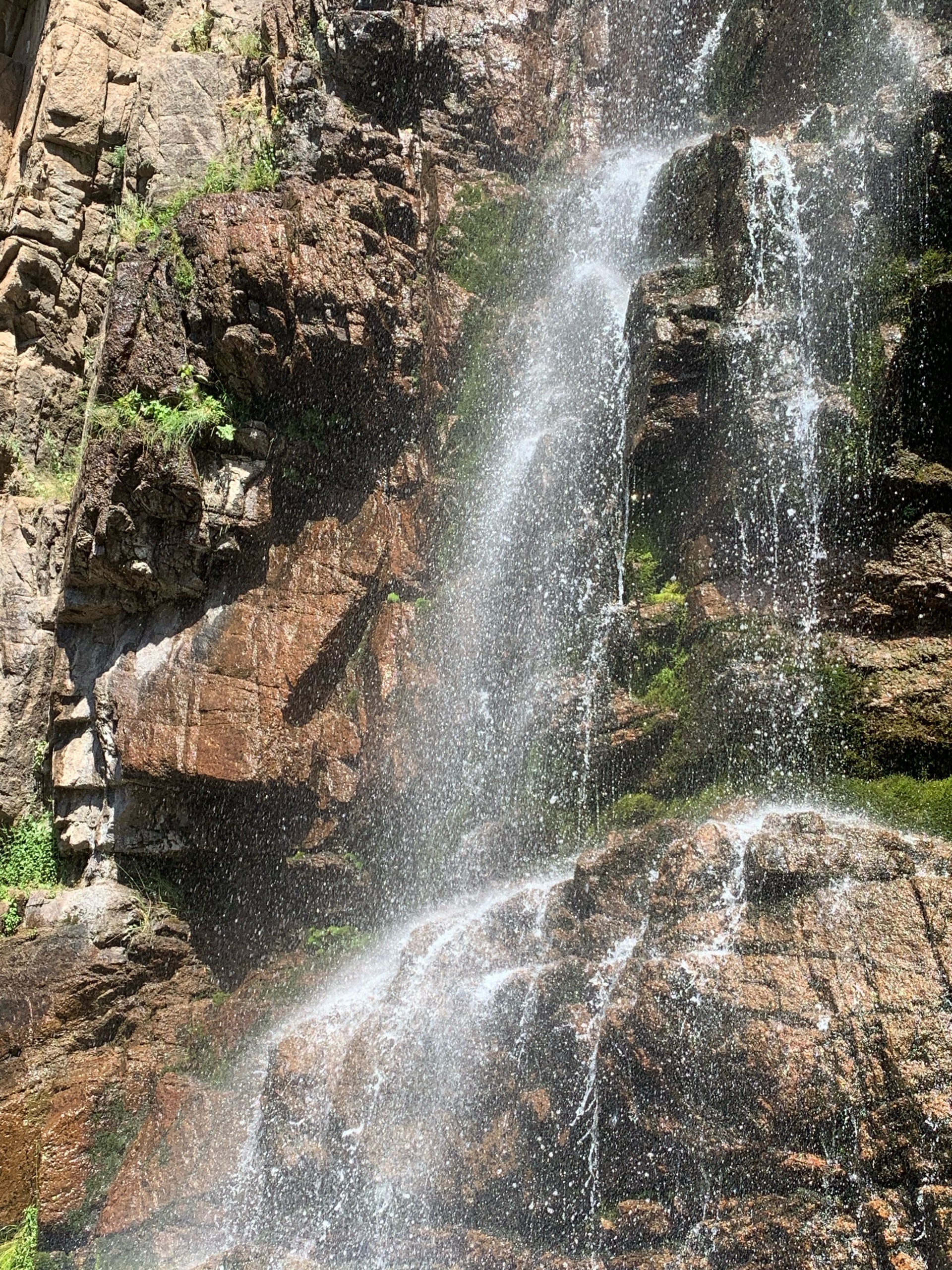 Олар кесілген жерді алып тастамай, қынапқа сығылады