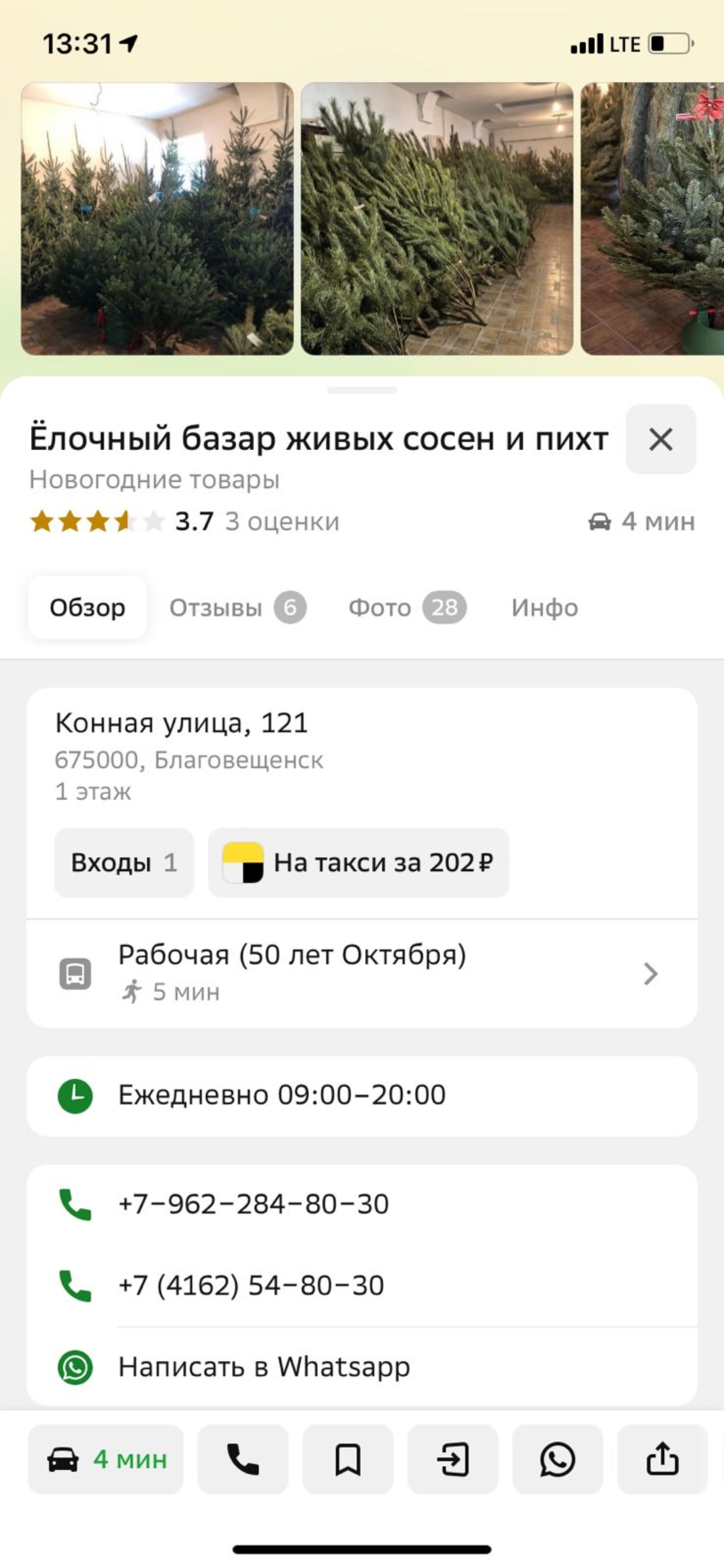 Ёлочный базар живых сосен и пихт, Конная улица, 121, Благовещенск — 2ГИС