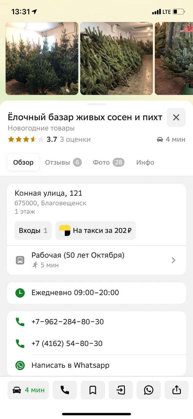 Ёлочный базар живых сосен и пихт, Конная улица, 121, Благовещенск — 2ГИС