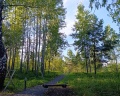 Aspen: отзыв от Наталья Уфимова