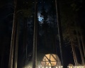 Forest lake: отзыв от Анастасия Толстова