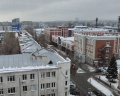 Panda City: отзыв от Елена Федоровская