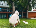 7 terrass: отзыв от Ирина Грицай