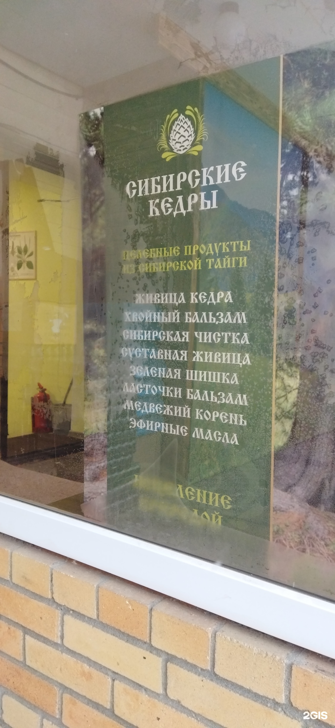 Сибирские кедры, магазин товаров для здоровья, Попова, 7Б, Екатеринбург —  2ГИС