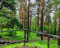 Журавель: отзыв от Сергей Салтымаков