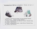 Институт археологии и этнографии: отзыв от Анна Влади