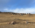 Тойнак: отзыв от Alexey Grom