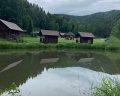 Лесная сказка: отзыв от Ольга