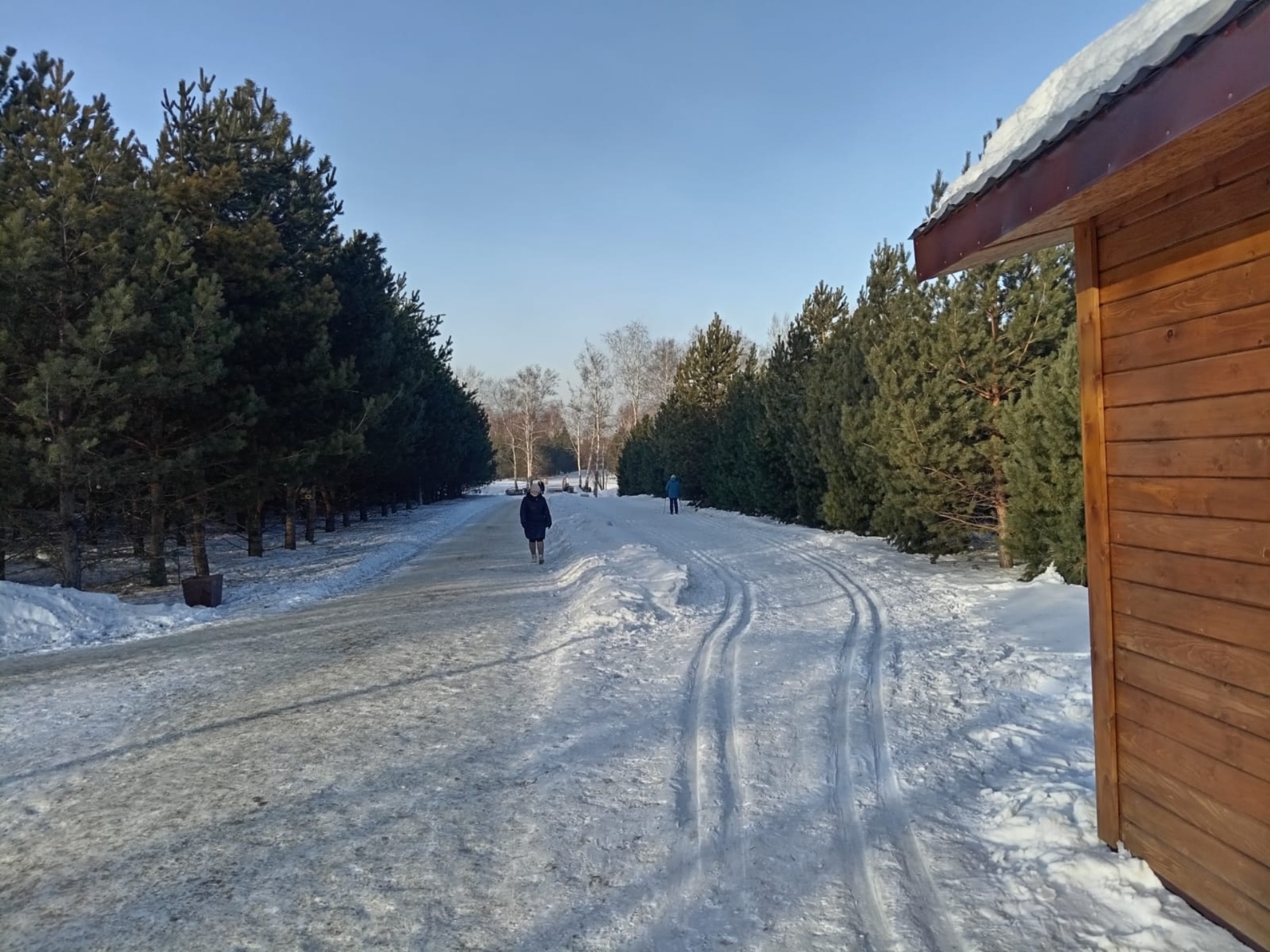 Лыжня, пункт проката спортивного инвентаря, проспект Химиков, 43 к3,  Кемерово — 2ГИС