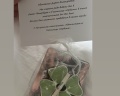Орбита: отзыв от Darina Rudenko