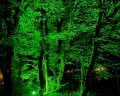 Лучшее место: отзыв от Рязанов Максим