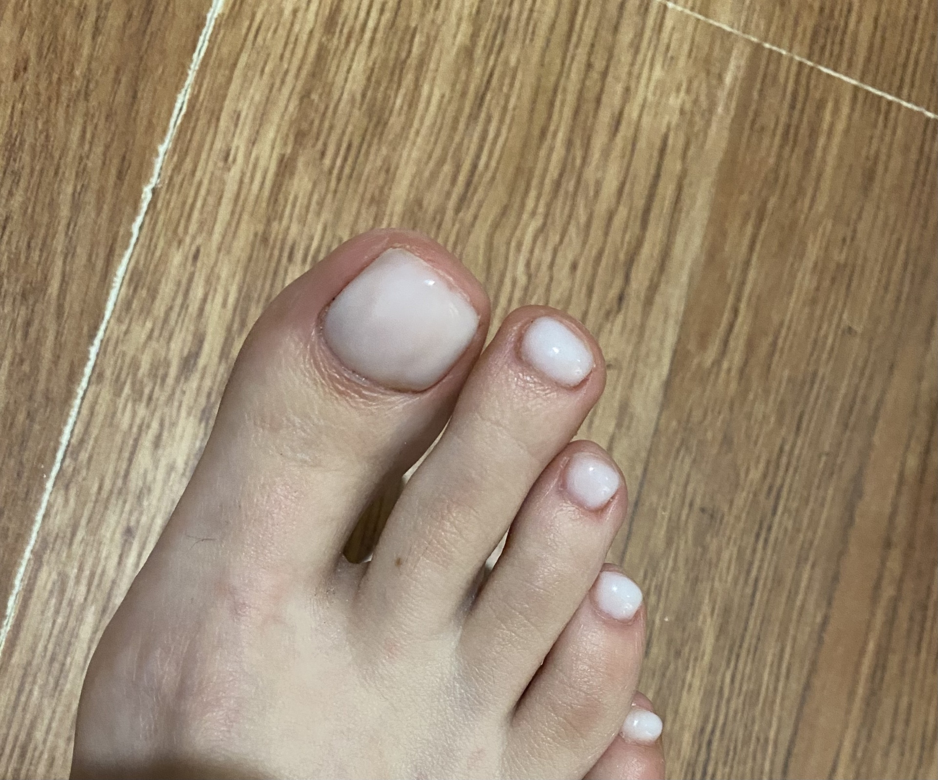 Nail story, студия, ТЦ Парус, улица Елецкая, 21, Волгоград — 2ГИС