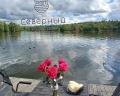 Северный берег: отзыв от Ольга Соколова