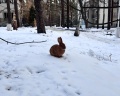 Абажур: отзыв от Людмила Лоскутова