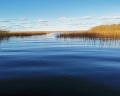 Янтарный Берег: отзыв от Евгений Горелик
