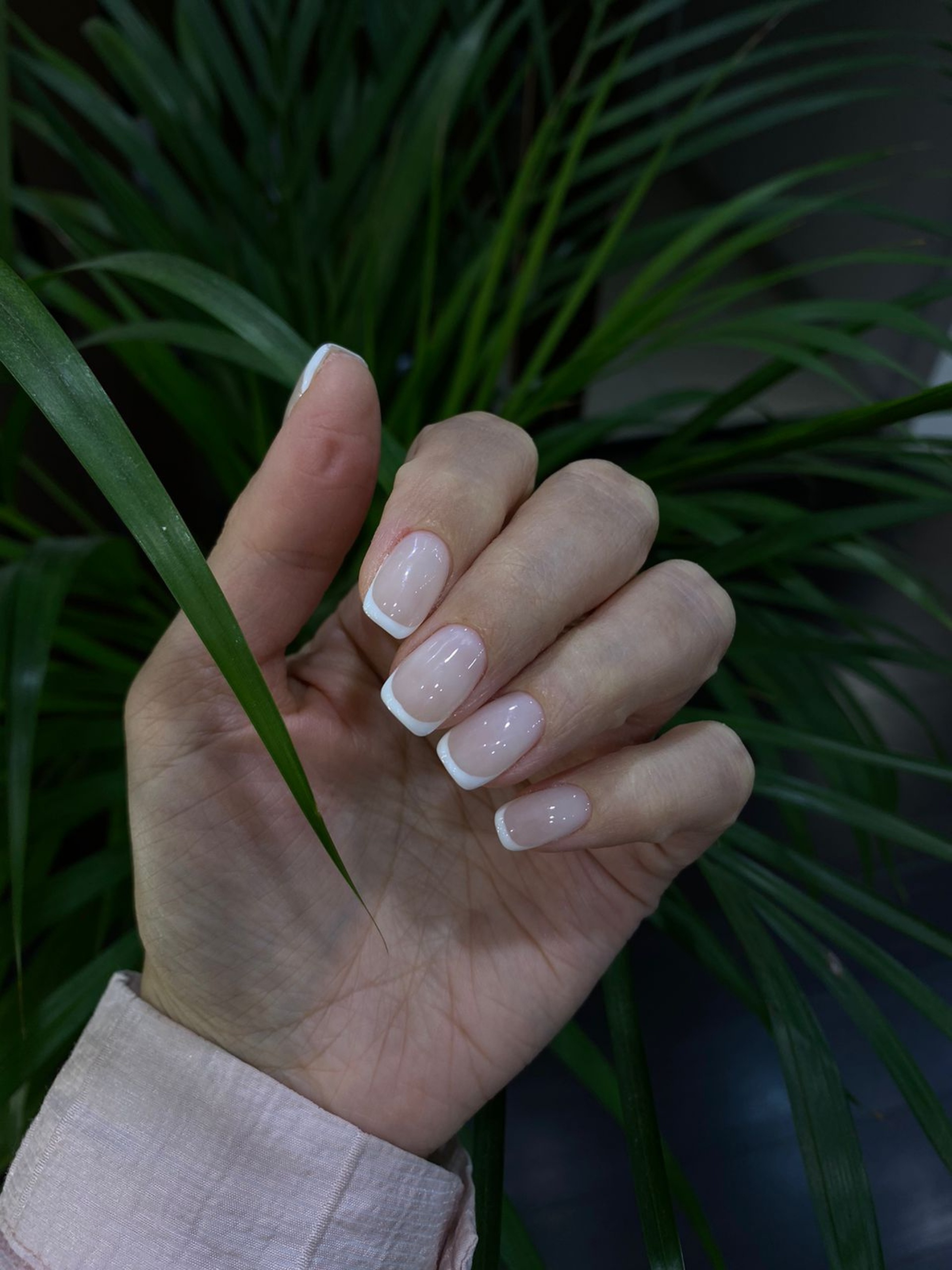 City Nails, сеть студий красоты, улица Герасима Курина, 14 к1а, Москва —  2ГИС