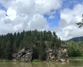 Лебедь: отзыв от Людмила Жителева