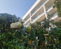 Приморье Grand Resort: отзыв от Ангелина Новак