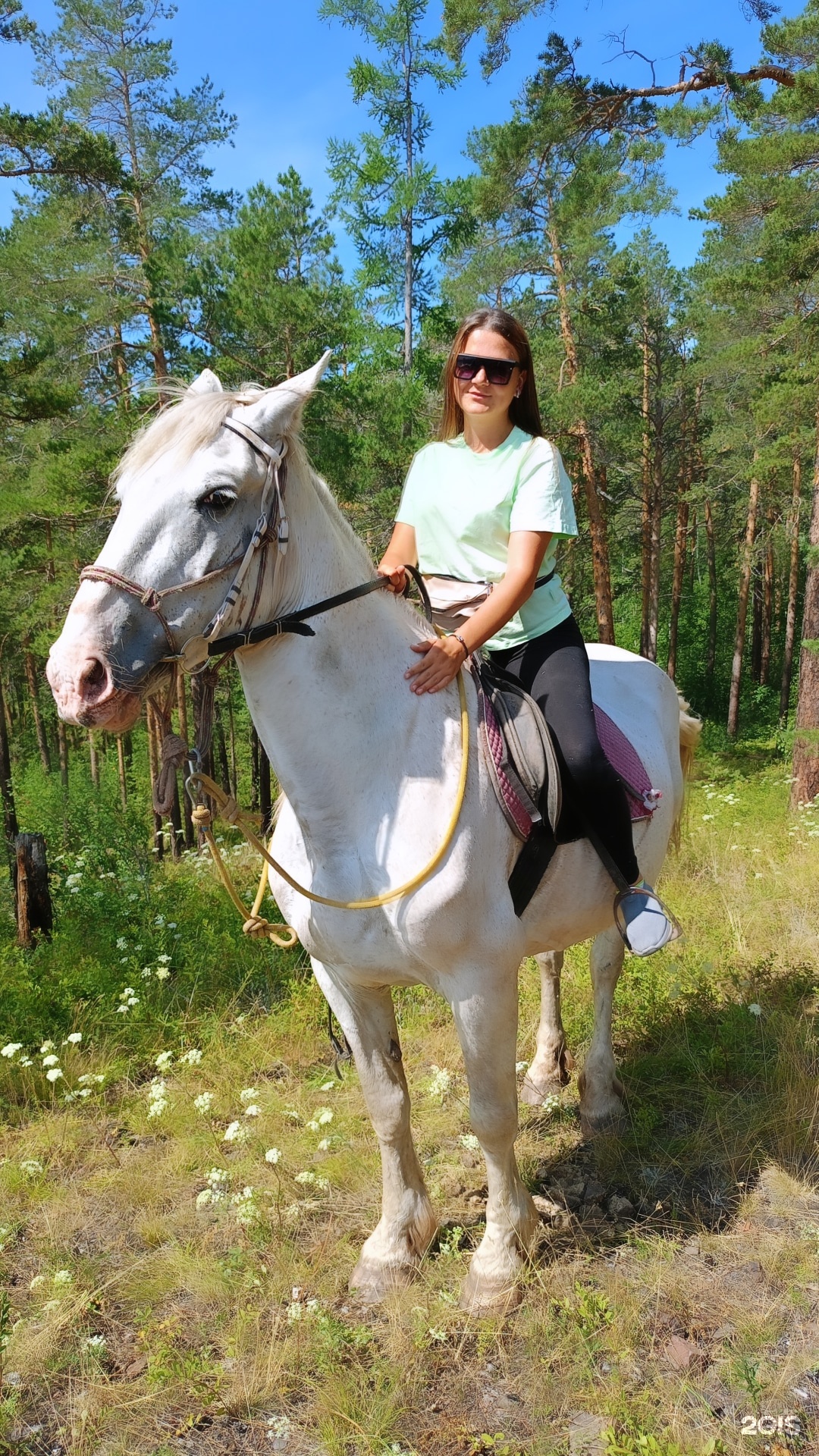 Фаворит, конный клуб, Сосновый бор, Земляничная, 36, Братск — 2ГИС