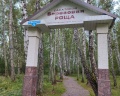 Березовая роща: отзыв от Татьяна Татьяна