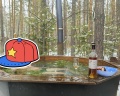 Лес: отзыв от Айгуль Ширшева