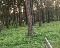 Парус: отзыв от Василий Петров