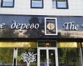 Белое дерево: отзыв от Иркен Аю