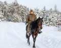 Бунин ручей: отзыв от Дмитрий Рощин