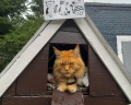 Подснежник: отзыв от Марина В
