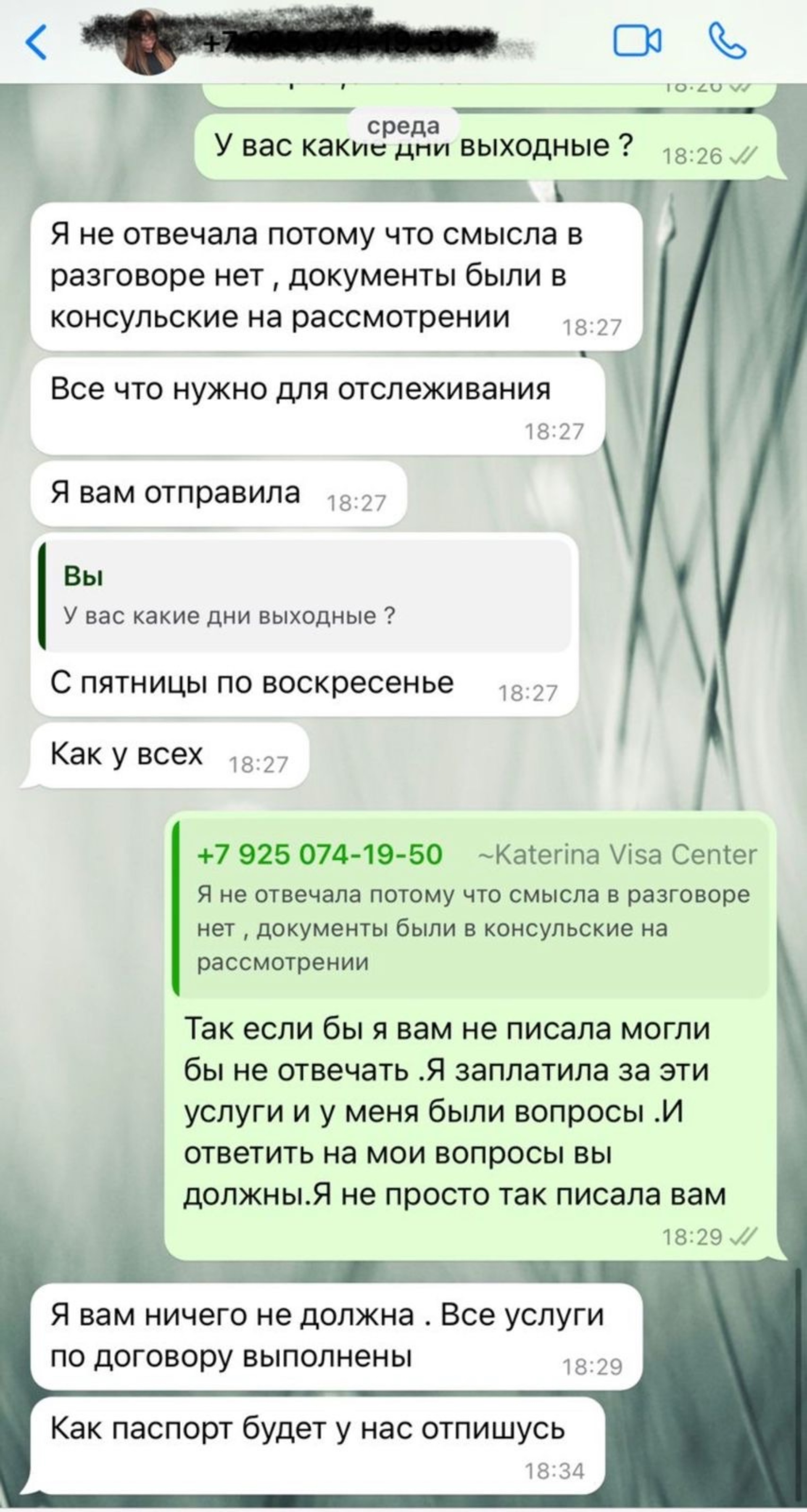 Отзывы о Visa center , визовый центр, улица Кузнецкий Мост, 21/5, Москва -  2ГИС