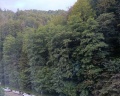 Park Inn Radisson Роза Хутор: отзыв от юрий