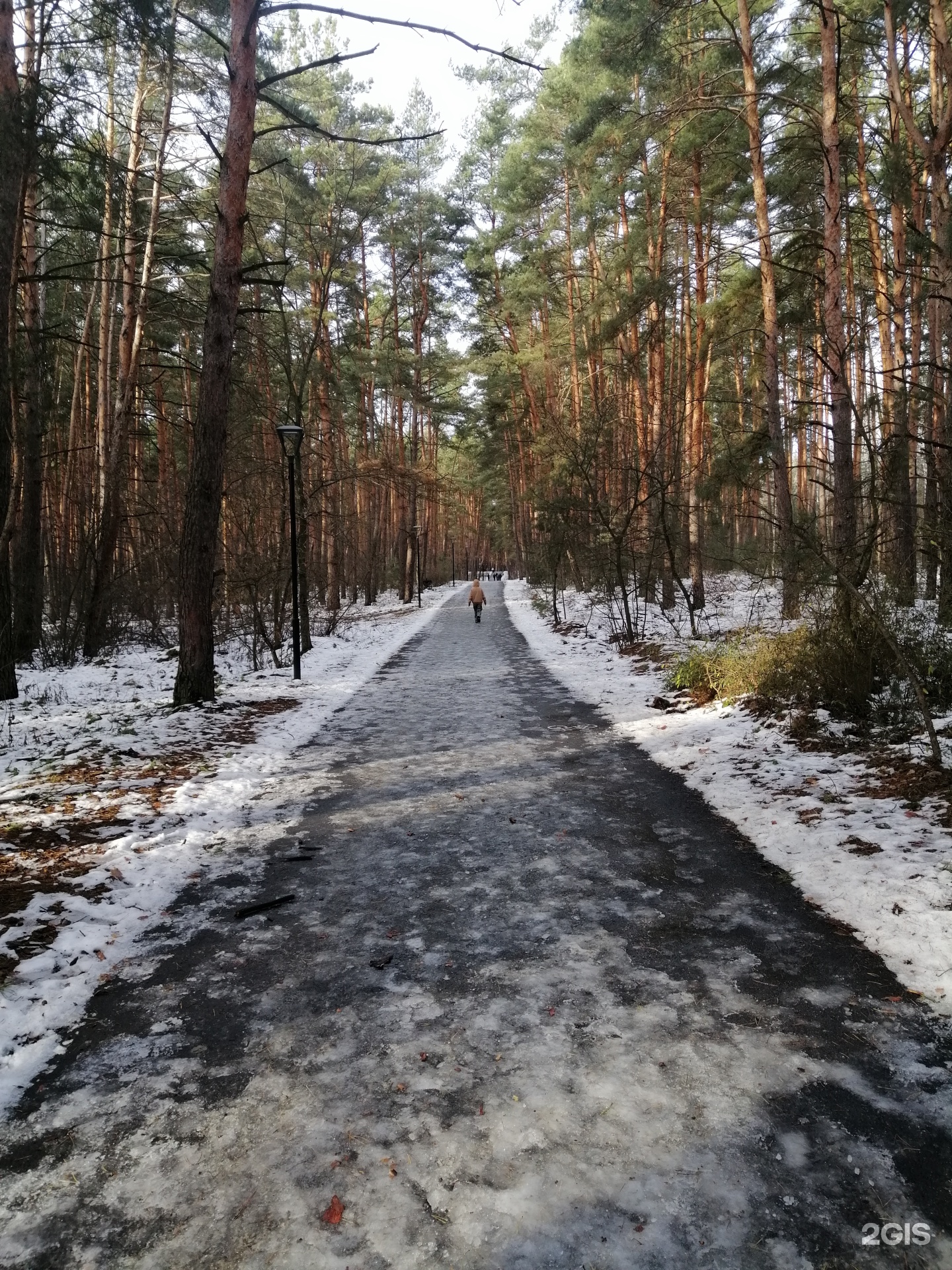 Пикник, парк, Дальняя Тихая улица, 2п, Белгород — 2ГИС