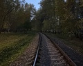 Сосновый бор: отзыв от Romeo P