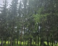 Притомье: отзыв от Ольга Телешева