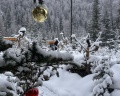Речные земли: отзыв от Ирина Гончарова