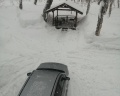 Kamchatka forest lodge: отзыв от Людмила Помелова