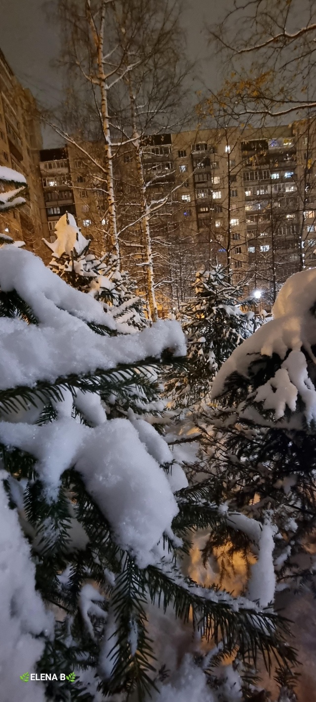 Проспект Луначарского, 108 к1 в Санкт-Петербурге — 2ГИС