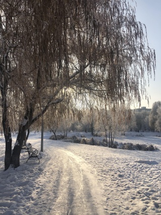 Парк воронежские озера самара фото